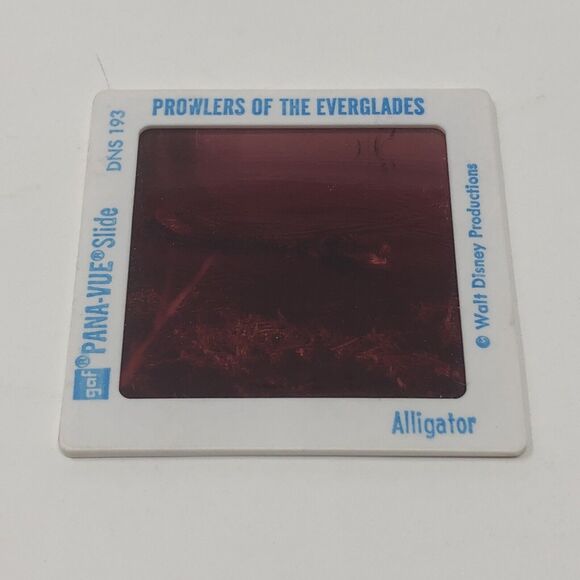 Vintage Walt Disney World Powers of the Everglades Epcot Center Pana-Vue Slides - Picture 5 of 7